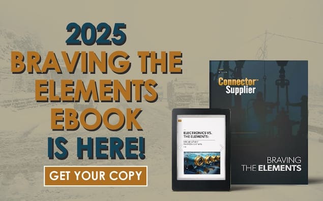 eBook 2025 Braving the Elements
