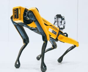 AI and Automation Converge in Cognitive Robots