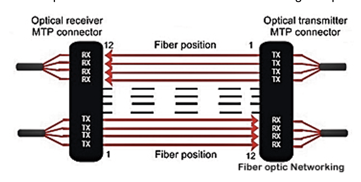 optical fiber networking