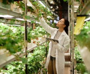Sensors Do Some Heavy Lifting in Indoor Agriculture Operations